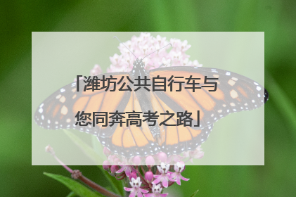潍坊公共自行车与您同奔高考之路