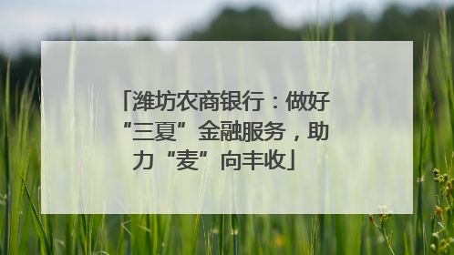 潍坊农商银行：做好“三夏”金融服务，助力“麦”向丰收