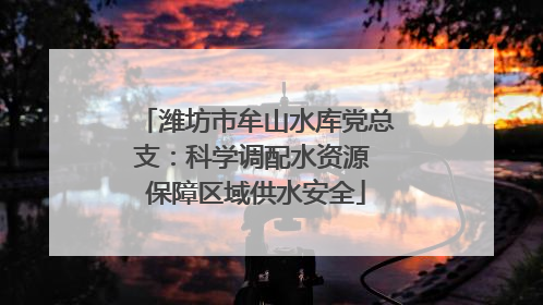 潍坊市牟山水库党总支：科学调配水资源 保障区域供水安全