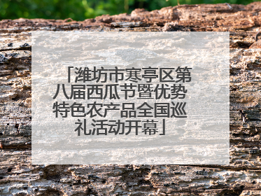 潍坊市寒亭区第八届西瓜节暨优势特色农产品全国巡礼活动开幕