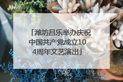 潍坊昌乐举办庆祝中国共产党成立104周年文艺演出