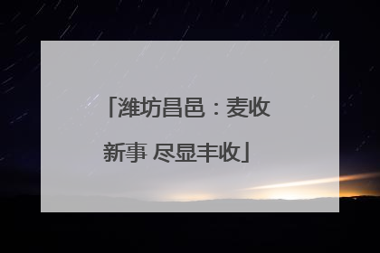 潍坊昌邑：麦收新事 尽显丰收