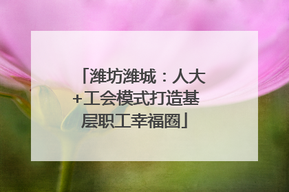 潍坊潍城：人大+工会模式打造基层职工幸福圈