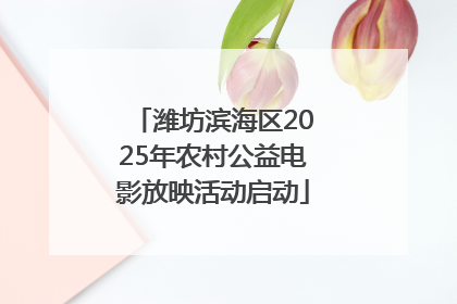 潍坊滨海区2025年农村公益电影放映活动启动