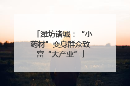 潍坊诸城：“小药材”变身群众致富“大产业”