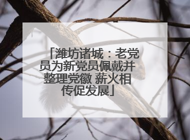 潍坊诸城：老党员为新党员佩戴并整理党徽 薪火相传促发展