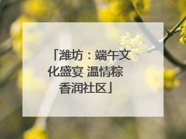 潍坊：端午文化盛宴 温情粽香润社区