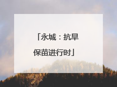 永城：抗旱保苗进行时
