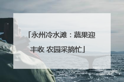 永州冷水滩：蔬果迎丰收 农园采摘忙