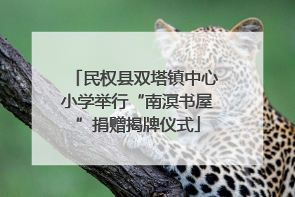 民权县双塔镇中心小学举行“南溟书屋”捐赠揭牌仪式