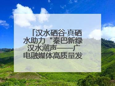 汉水硒谷·真硒水助力“秦巴新绿 汉水潮声——广电融媒体高质量发展陕西采访行”