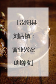 汝阳县刘店镇：薯业兴农助增收