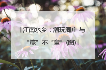 江南水乡：潮玩周庄 与“粽”不“童”(图)