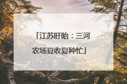 江苏盱眙：三河农场夏收夏种忙
