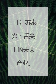 江苏泰兴：舌尖上的未来产业