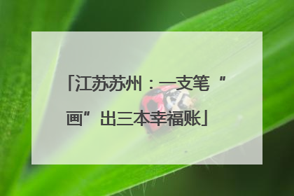 江苏苏州：一支笔“画”出三本幸福账