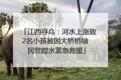 江西寻乌：河水上涨致2名小孩被困大桥桥墩 民警蹚水紧急救援