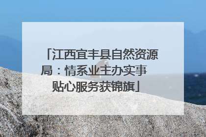 江西宜丰县自然资源局：情系业主办实事 贴心服务获锦旗
