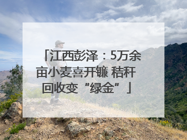 江西彭泽：5万余亩小麦喜开镰 秸秆回收变“绿金”