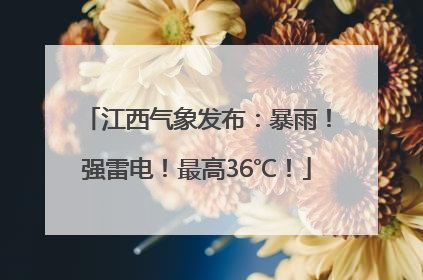 江西气象发布：暴雨！强雷电！最高36℃！