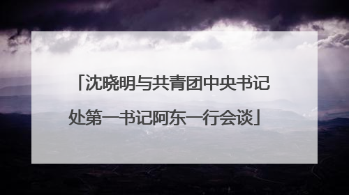 沈晓明与共青团中央书记处第一书记阿东一行会谈