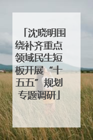 沈晓明围绕补齐重点领域民生短板开展“十五五”规划专题调研