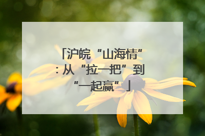 沪皖“山海情”：从“拉一把”到“一起赢”