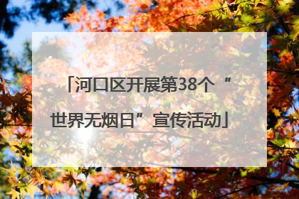河口区开展第38个“世界无烟日”宣传活动