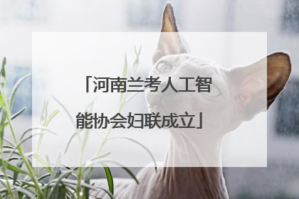 河南兰考人工智能协会妇联成立