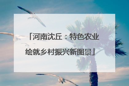 河南沈丘：特色农业绘就乡村振兴新图景
