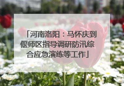 河南洛阳：马怀庆到偃师区指导调研防汛综合应急演练等工作
