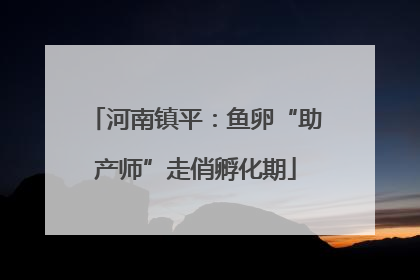 河南镇平：鱼卵“助产师”走俏孵化期