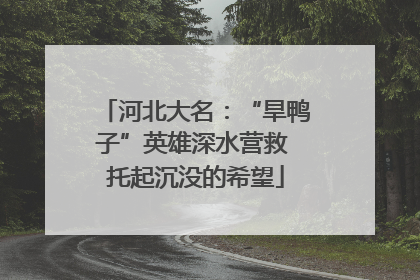 河北大名：“旱鸭子”英雄深水营救 托起沉没的希望