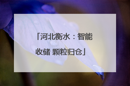 河北衡水：智能收储 颗粒归仓
