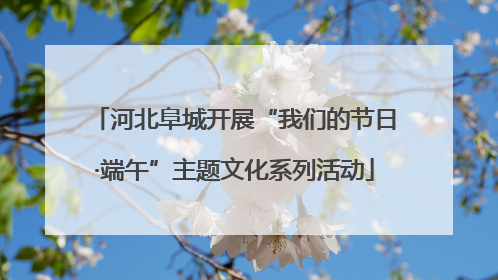 河北阜城开展“我们的节日·端午”主题文化系列活动