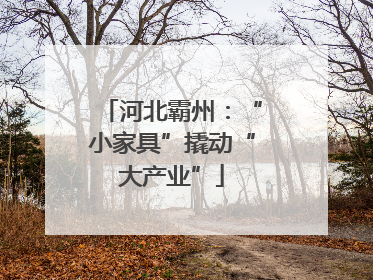 河北霸州：“小家具”撬动“大产业”