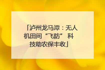 泸州龙马潭：无人机田间“飞防” 科技助农保丰收