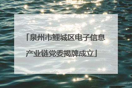 泉州市鲤城区电子信息产业链党委揭牌成立