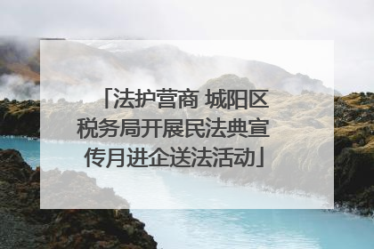 法护营商 城阳区税务局开展民法典宣传月进企送法活动