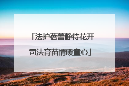 法护蓓蕾静待花开 司法育苗情暖童心