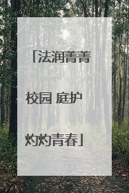 法润菁菁校园 庭护灼灼青春