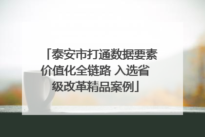 泰安市打通数据要素价值化全链路 入选省级改革精品案例