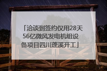 洽谈到签约仅用28天 56亿微风发电机组设备项目四川蓬溪开工
