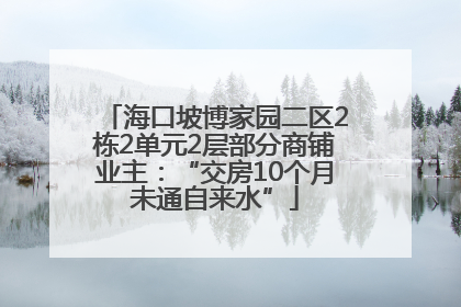 海口坡博家园二区2栋2单元2层部分商铺业主：“交房10个月未通自来水”