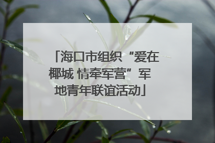 海口市组织“爱在椰城 情牵军营”军地青年联谊活动