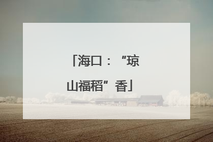 海口：“琼山福稻”香