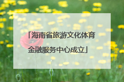 海南省旅游文化体育金融服务中心成立