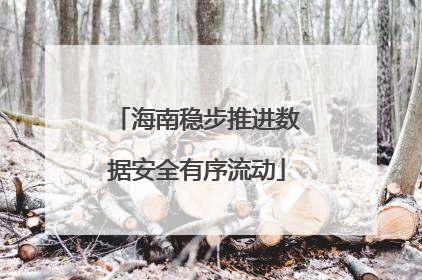 海南稳步推进数据安全有序流动