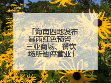 海南四地发布暴雨红色预警 三亚商场、餐饮场所暂停营业