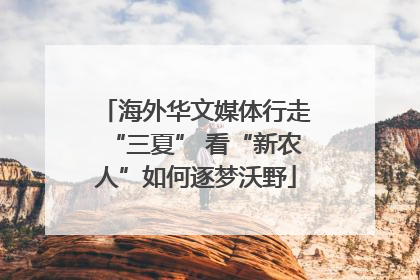 海外华文媒体行走“三夏” 看“新农人”如何逐梦沃野